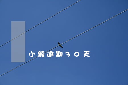 小额逾期30天 小额逾期30天