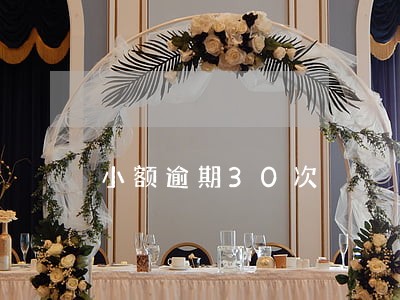 小额逾期30次 小额逾期30次