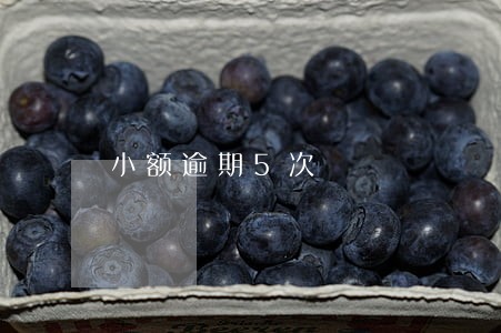 小额逾期5次 小额逾期5次
