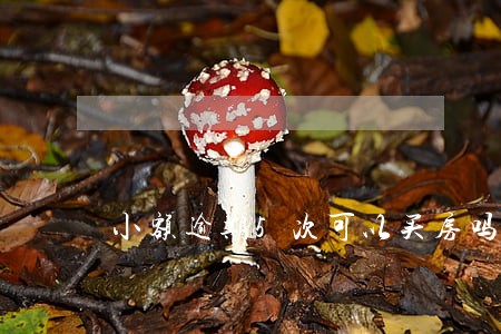 小额逾期5次可以买房吗 小额逾期5次可以买房吗