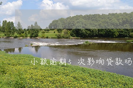 小额逾期5次影响贷款吗