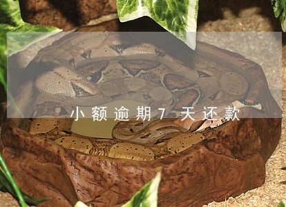 小额逾期7天还款 小额逾期7天还款