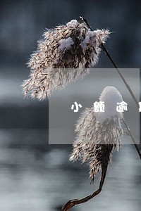 小额逾期一年4次能商贷吗 小额逾期一年4次能商贷吗