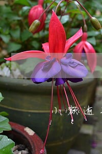 小额逾期不记录入信用 小额逾期不记录入信用