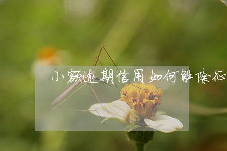小额逾期信用如何解除征信 小额逾期信用如何解除征信