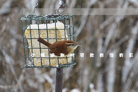小额逾期对贷款有没有影响 小额逾期对贷款有没有影响