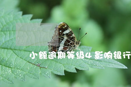 小额逾期等级4影响银行贷款