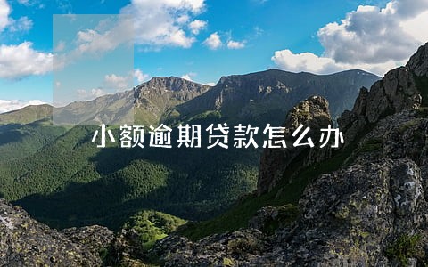 小额逾期贷款怎么办 小额逾期贷款怎么办