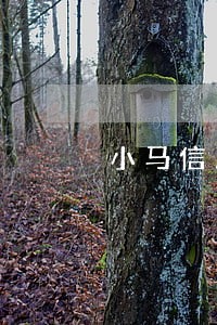 小马信用显示逾期一期