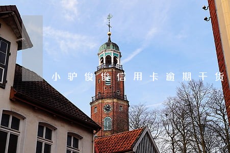 小驴俊俊信用卡逾期干货分享 小驴俊俊信用卡逾期干货分享