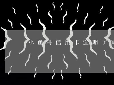 小鱼哥信用卡逾期了吗 小鱼哥信用卡逾期了吗