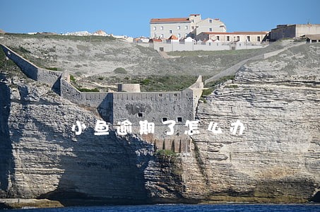 小鱼逾期了怎么办