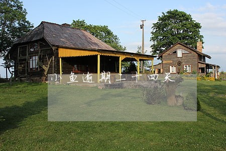 小鱼逾期二十四天