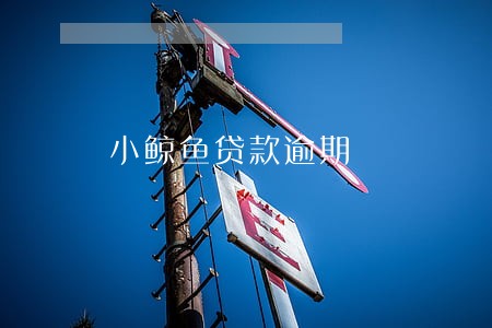小鲸鱼贷款逾期 小鲸鱼贷款逾期