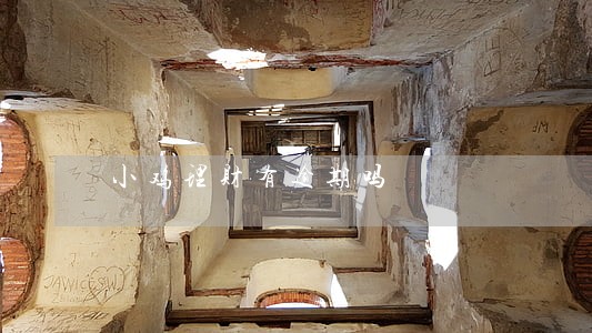 小鸡理财有逾期吗