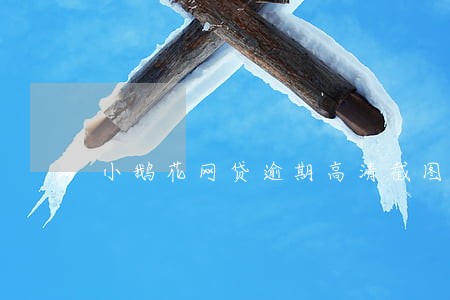 小鹅花网贷逾期高清截图 小鹅花网贷逾期高清截图
