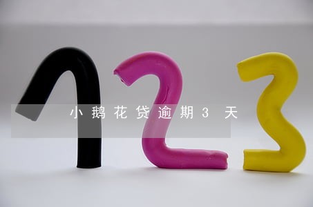 小鹅花贷逾期3天 小鹅花贷逾期3天