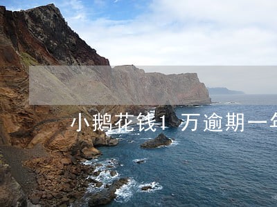 小鹅花钱1万逾期一年 小鹅花钱1万逾期一年