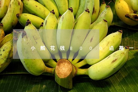 小鹅花钱8000逾期一个月 小鹅花钱8000逾期一个月