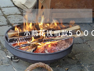 小鹅花钱借款5000逾期了 小鹅花钱借款5000逾期了