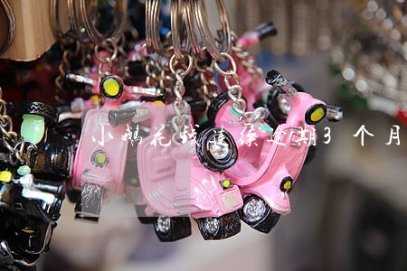 小鹅花钱连续逾期3个月 小鹅花钱连续逾期3个月