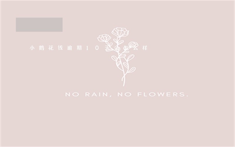 小鹅花钱逾期10天会怎么样 小鹅花钱逾期10天会怎么样