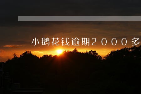 小鹅花钱逾期2000多要上门 小鹅花钱逾期2000多要上门