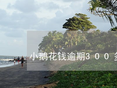 小鹅花钱逾期300多会上门吗 小鹅花钱逾期300多会上门吗