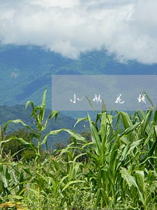 小鹅花钱逾期40多天了上门吗 小鹅花钱逾期40多天了上门吗