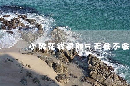 小鹅花钱逾期5天会不会上征信 小鹅花钱逾期5天会不会上征信