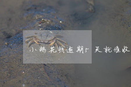 小鹅花钱逾期5天就催收 小鹅花钱逾期5天就催收