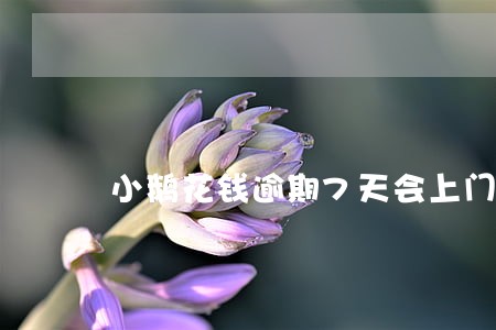 小鹅花钱逾期7天会上门吗 小鹅花钱逾期7天会上门吗