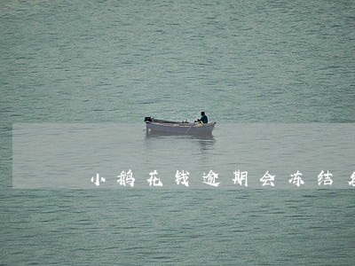 小鹅花钱逾期会冻结名下银行卡吗 小鹅花钱逾期会冻结名下银行卡吗