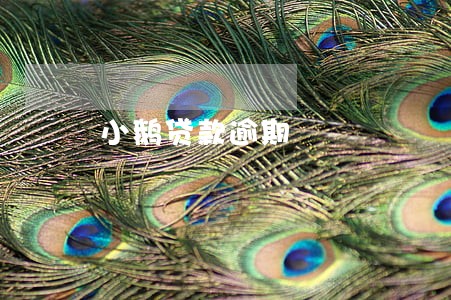 小鹅贷款逾期 小鹅贷款逾期