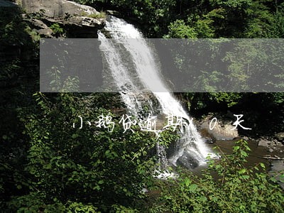 小鹅贷逾期10天 小鹅贷逾期10天