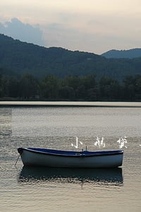 小鹅贷逾期23天 小鹅贷逾期23天