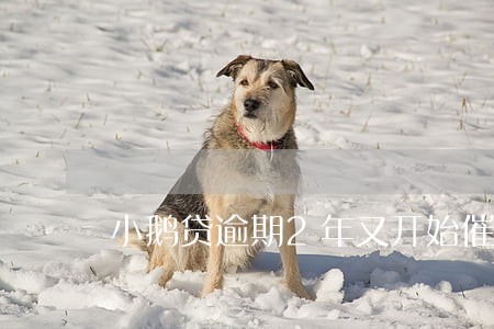 小鹅贷逾期2年又开始催收 小鹅贷逾期2年又开始催收