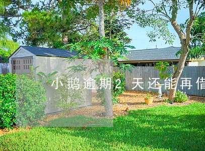 小鹅逾期2天还能再借款吗 小鹅逾期2天还能再借款吗