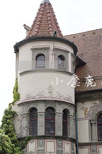 小麋鹿只还本金 小麋鹿只还本金