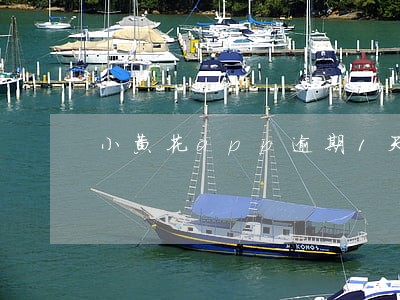 小黄花app逾期1天会如何