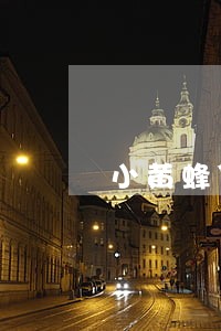 小黄蜂贷款逾期后利息多少钱 小黄蜂贷款逾期后利息多少钱