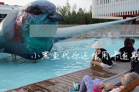 小黑鱼代你还信用卡逾期征信吗