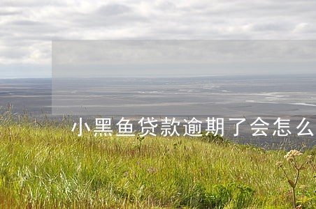 小黑鱼贷款逾期了会怎么样 小黑鱼贷款逾期了会怎么样