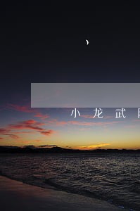 小龙武院违法 小龙武院违法