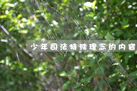 少年司法特殊理念的内容