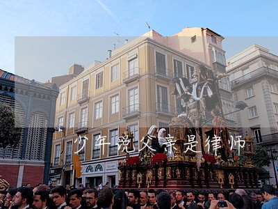 少年说父亲是律师 少年说父亲是律师