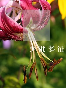 少批多征判决违法
