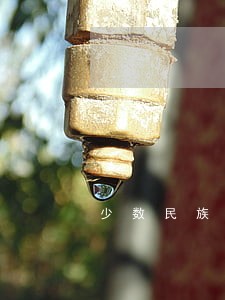少数民族一夫多妻制违法 少数民族一夫多妻制违法