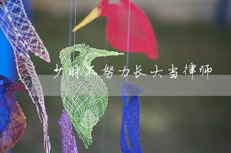 少时不努力长大当律师 少时不努力长大当律师