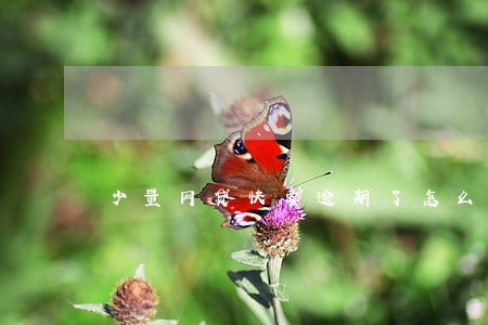 少量网贷快要逾期了怎么办 少量网贷快要逾期了怎么办